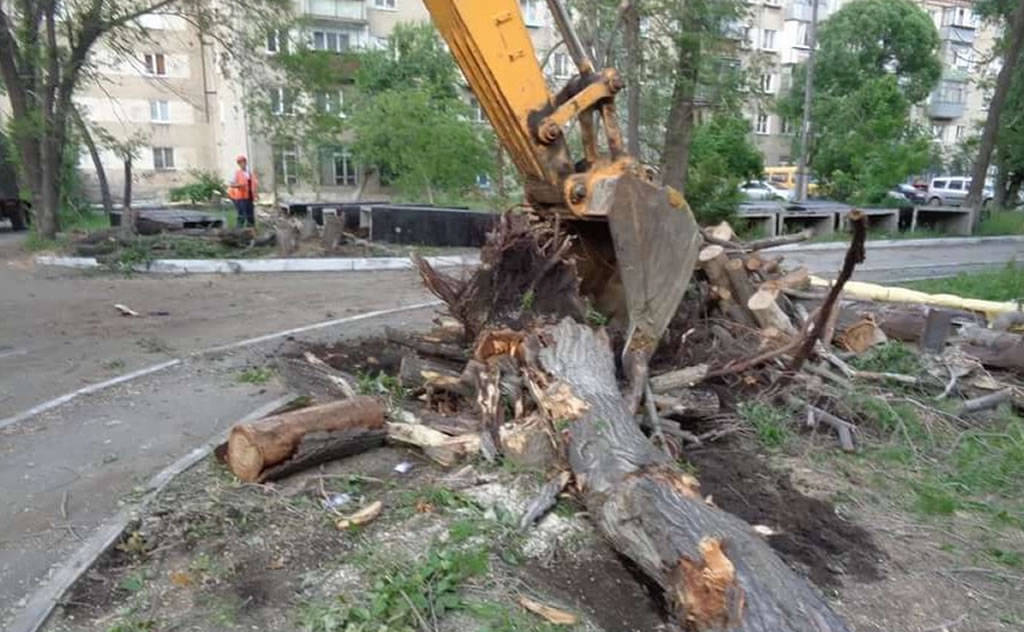 Спил и утилизация аварийных деревьев в Кирове
