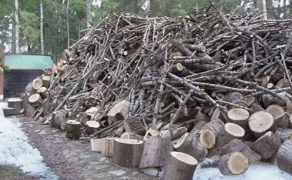 Спил и утилизация аварийных деревьев в Кирове
